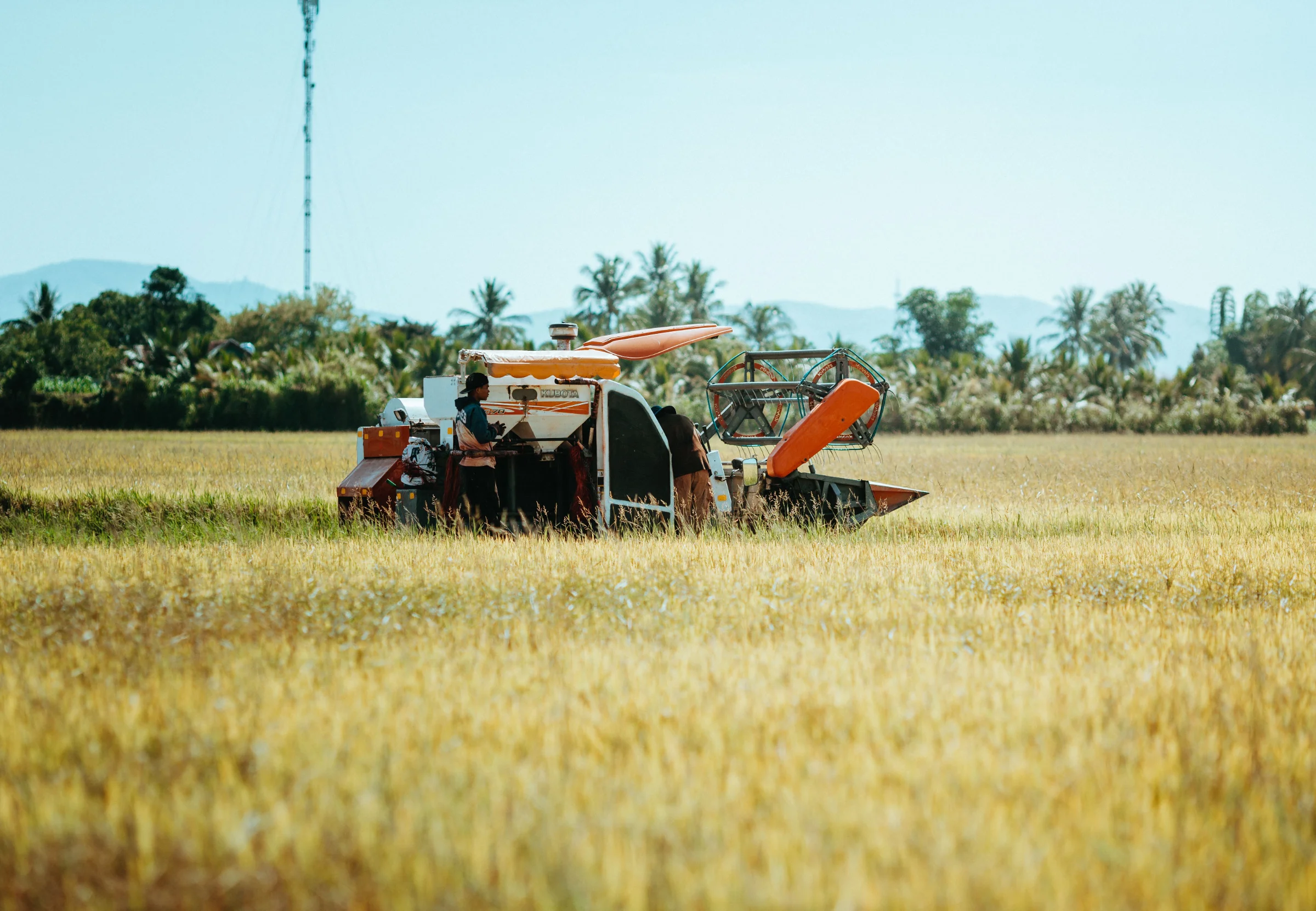 Agro-Industry in Sabah